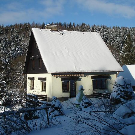 Erzgebirgsdomizil Am Schwartenberg Neuhausen (Saxony) Exterior foto