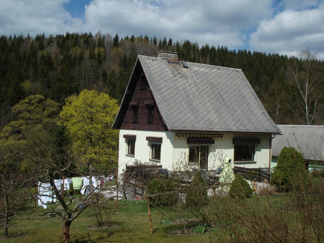 Erzgebirgsdomizil Am Schwartenberg Neuhausen (Saxony) Exterior foto